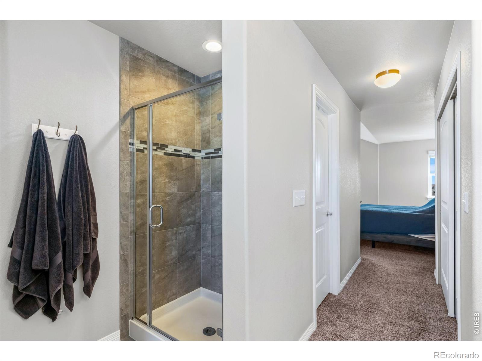 MLS Image #18 for 1828  paley drive,windsor, Colorado