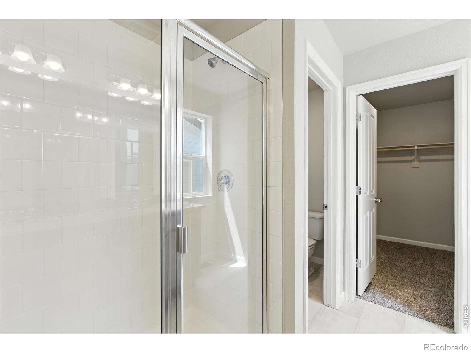 MLS Image #6 for 304  shoveler way,johnstown, Colorado