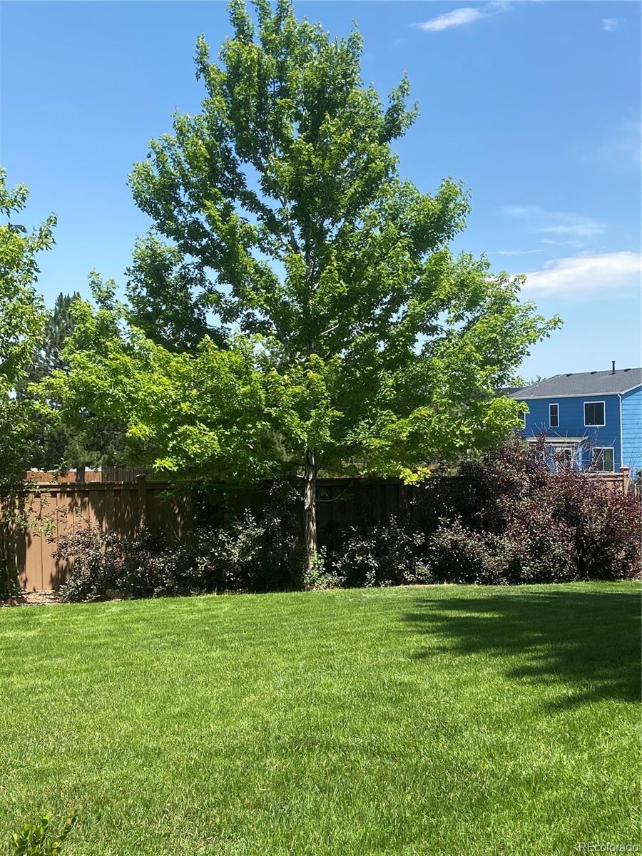 MLS Image #36 for 19121 e hampden drive,aurora, Colorado