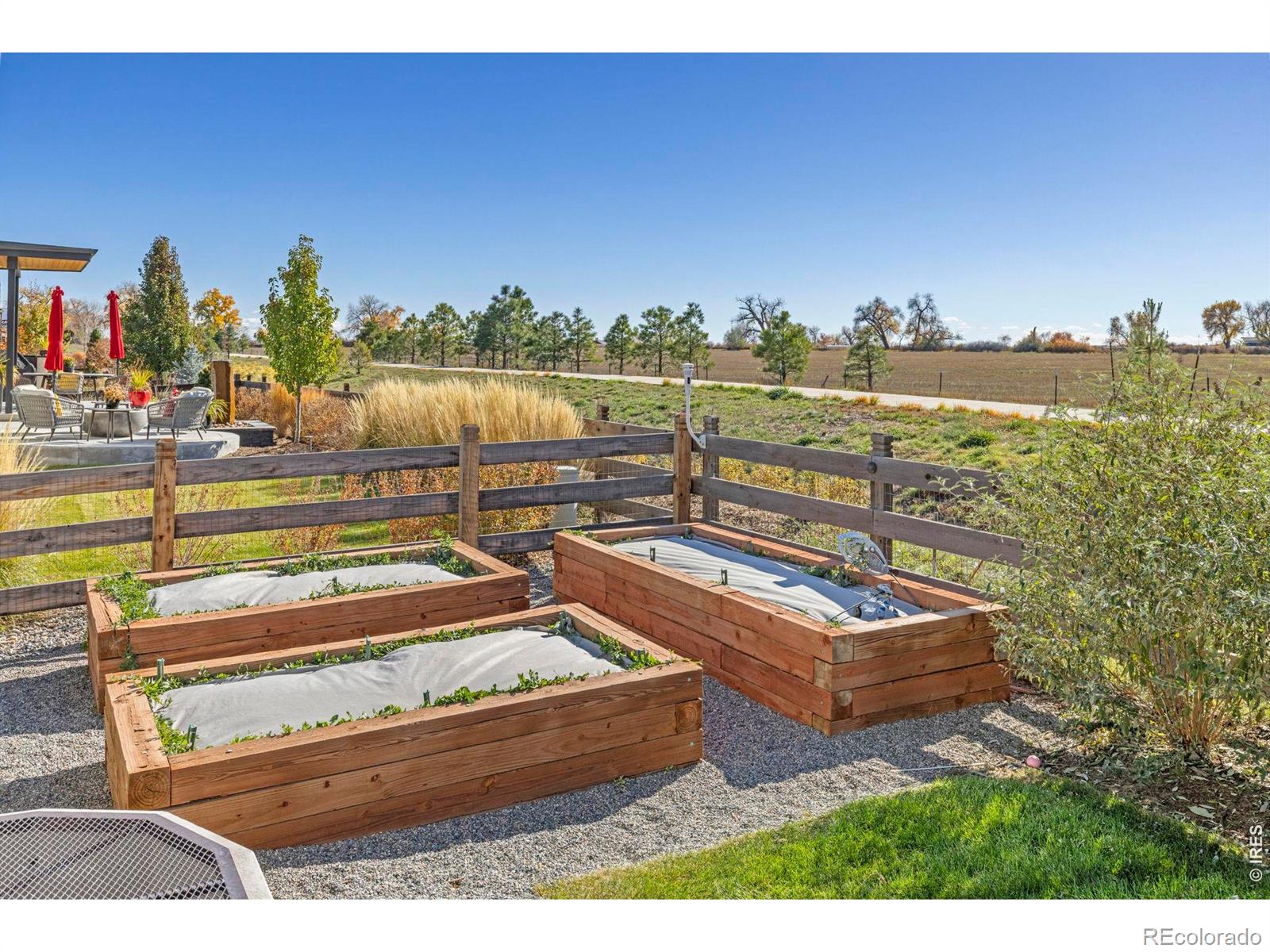 MLS Image #45 for 4759  summerlin place,longmont, Colorado