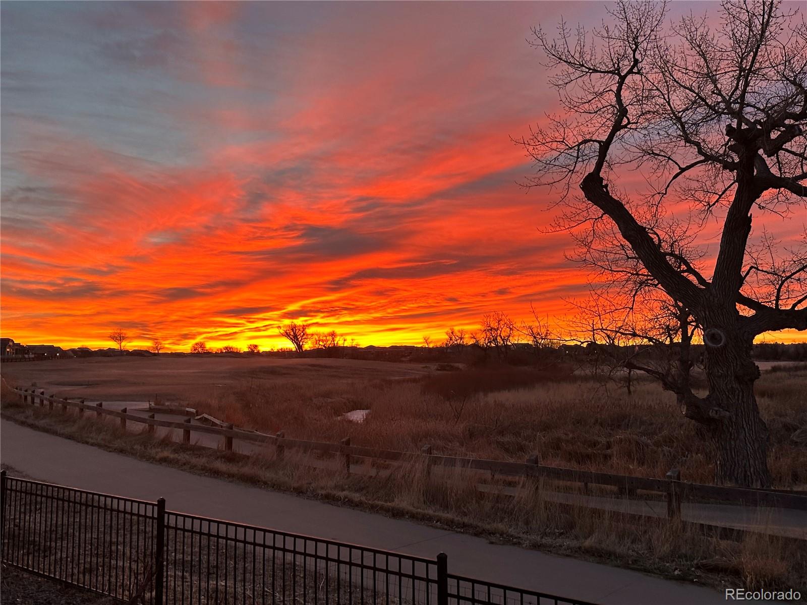 MLS Image #26 for 20322 e 52nd avenue,denver, Colorado