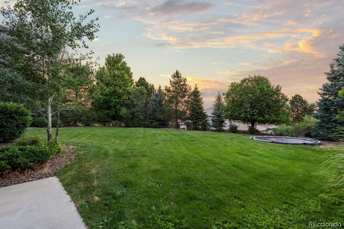 MLS Image #16 for 5845  amber ridge drive,castle pines, Colorado