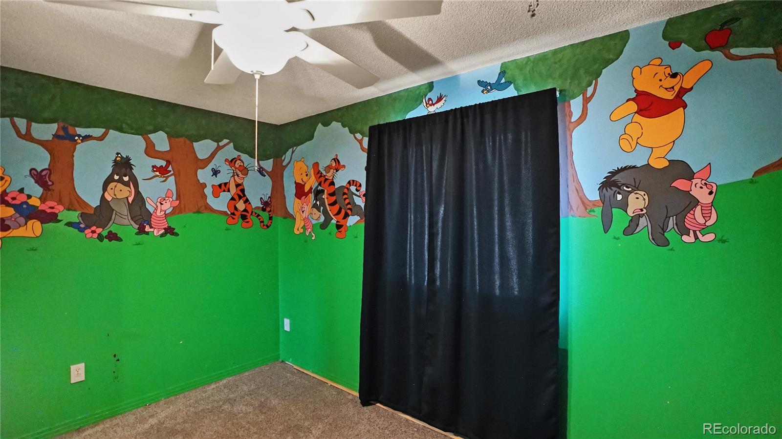 MLS Image #10 for 490  quakie way,bailey, Colorado