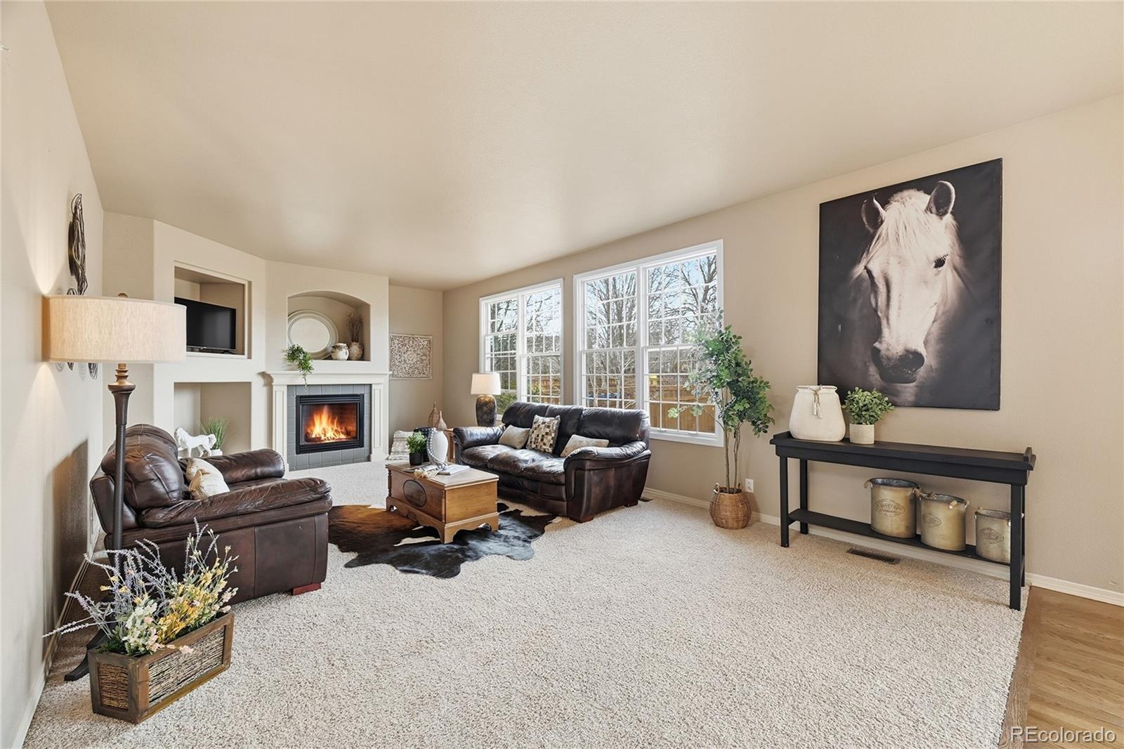 MLS Image #9 for 5283  killdeer street,brighton, Colorado