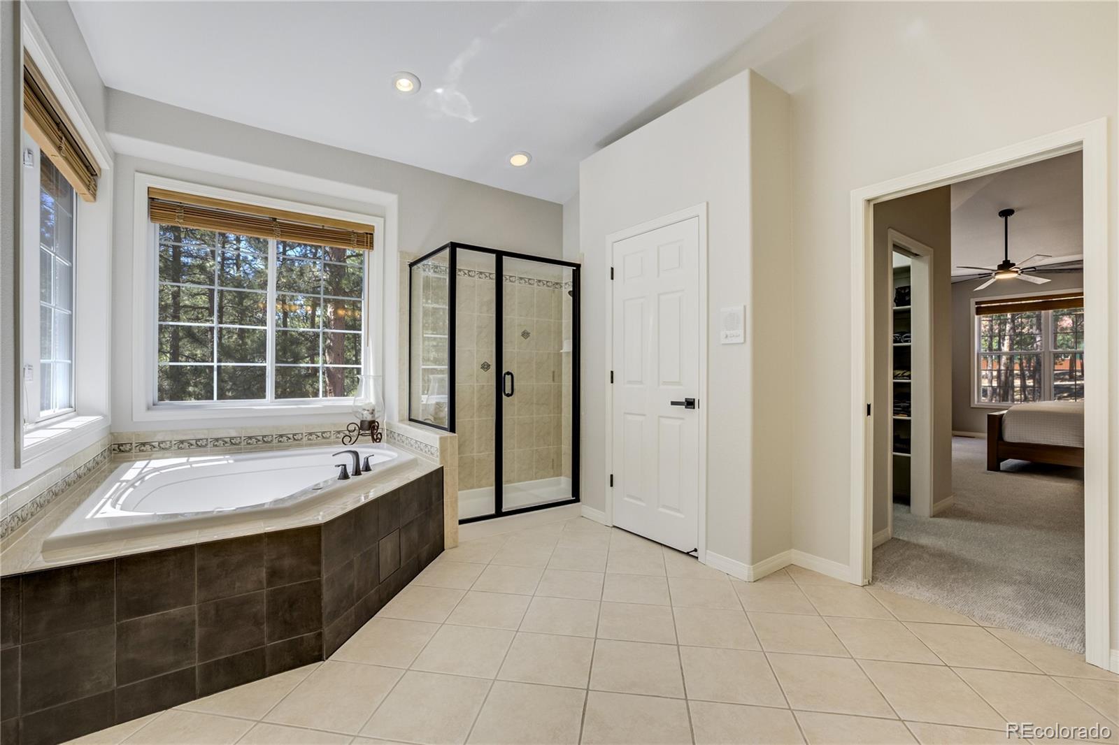 MLS Image #18 for 705  powderhorn drive,monument, Colorado