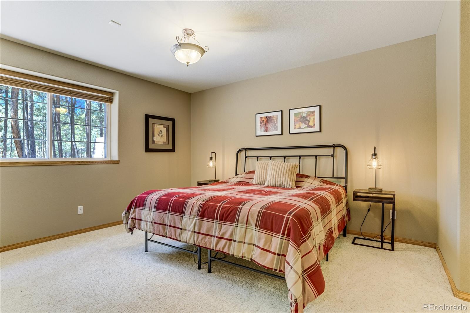 MLS Image #27 for 705  powderhorn drive,monument, Colorado
