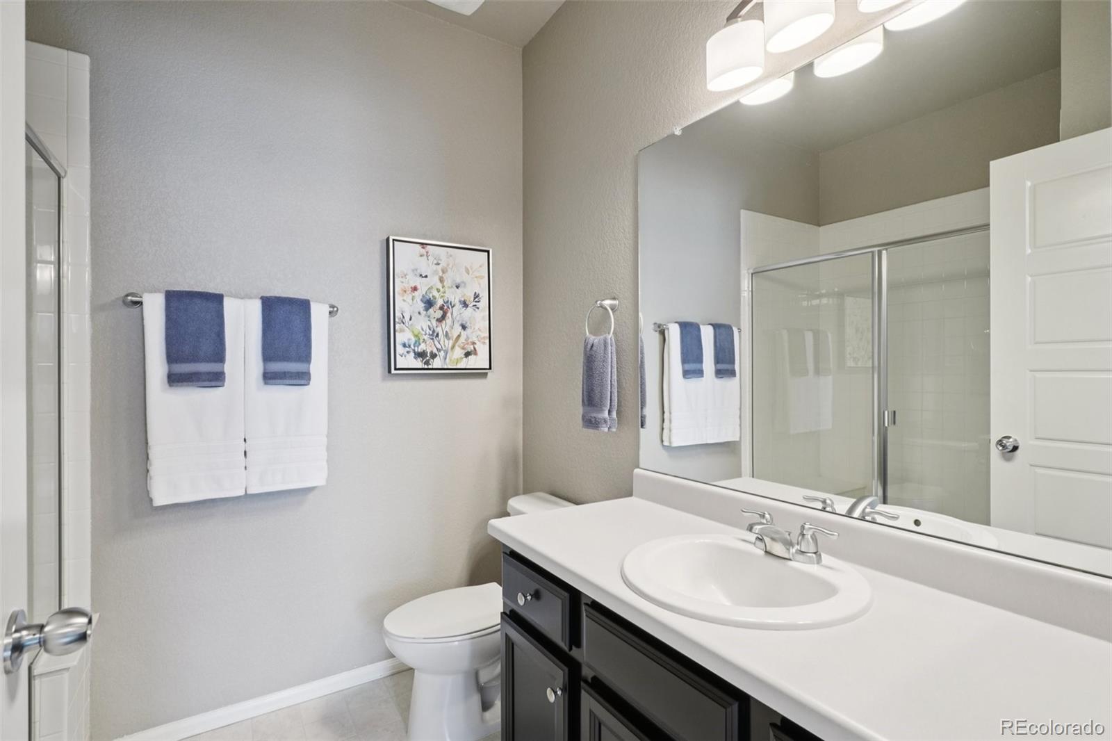 MLS Image #15 for 4438  sidewinder loop,castle rock, Colorado