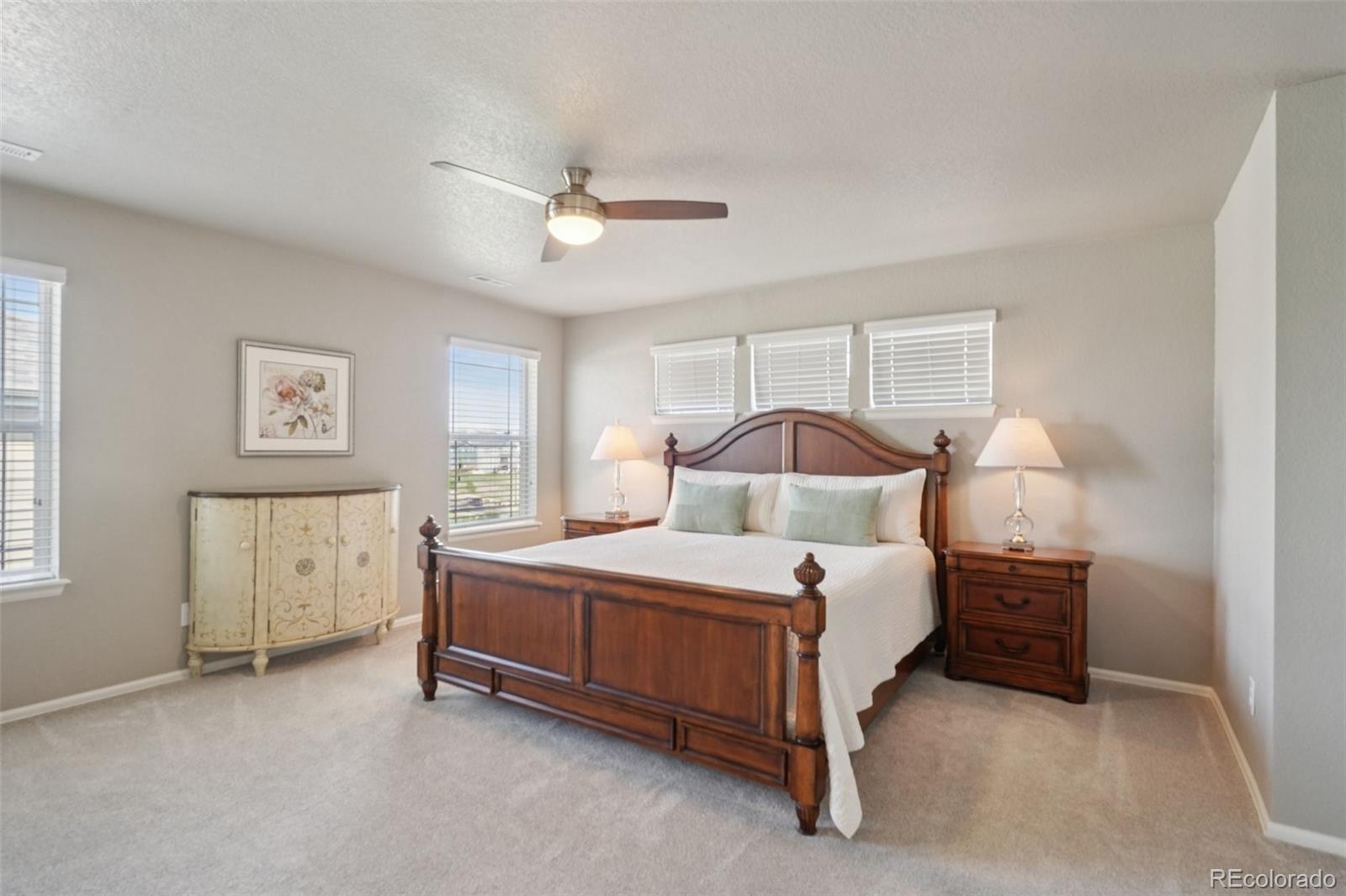 MLS Image #18 for 4438  sidewinder loop,castle rock, Colorado