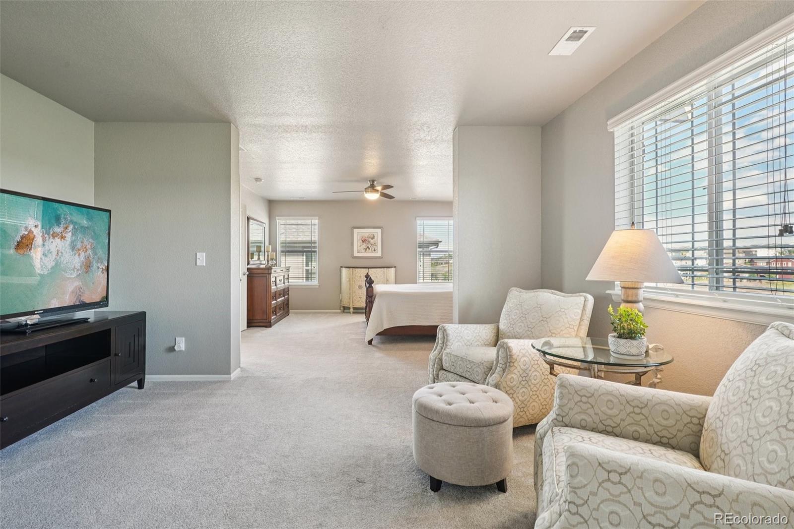 MLS Image #20 for 4438  sidewinder loop,castle rock, Colorado