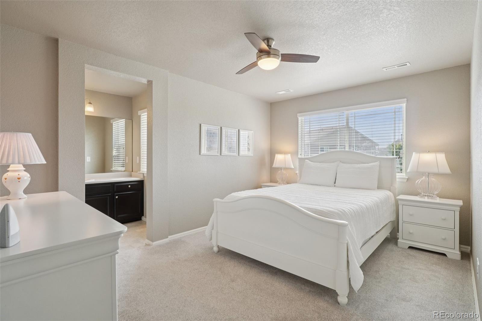 MLS Image #26 for 4438  sidewinder loop,castle rock, Colorado