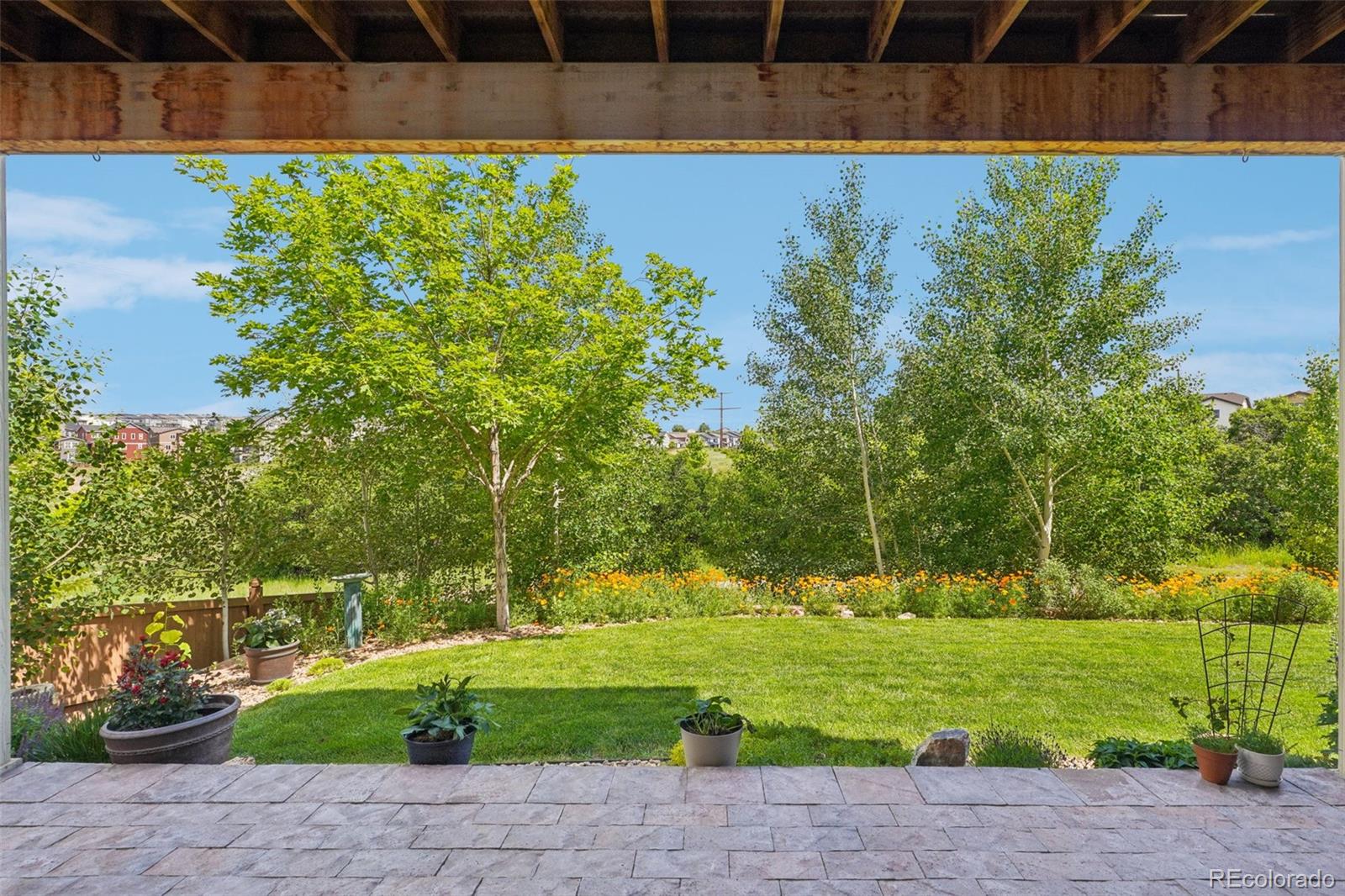 MLS Image #39 for 4438  sidewinder loop,castle rock, Colorado