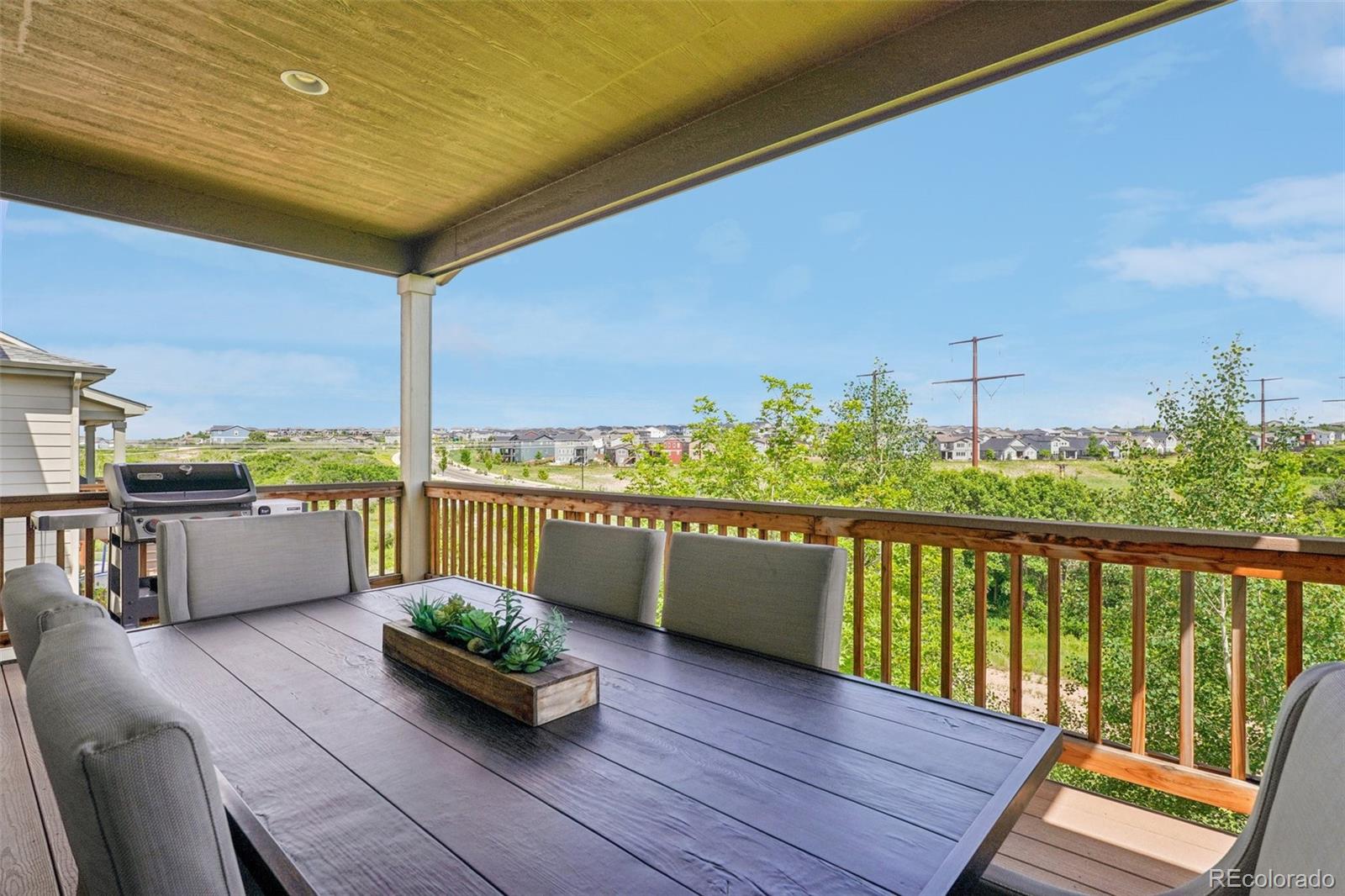 MLS Image #7 for 4438  sidewinder loop,castle rock, Colorado