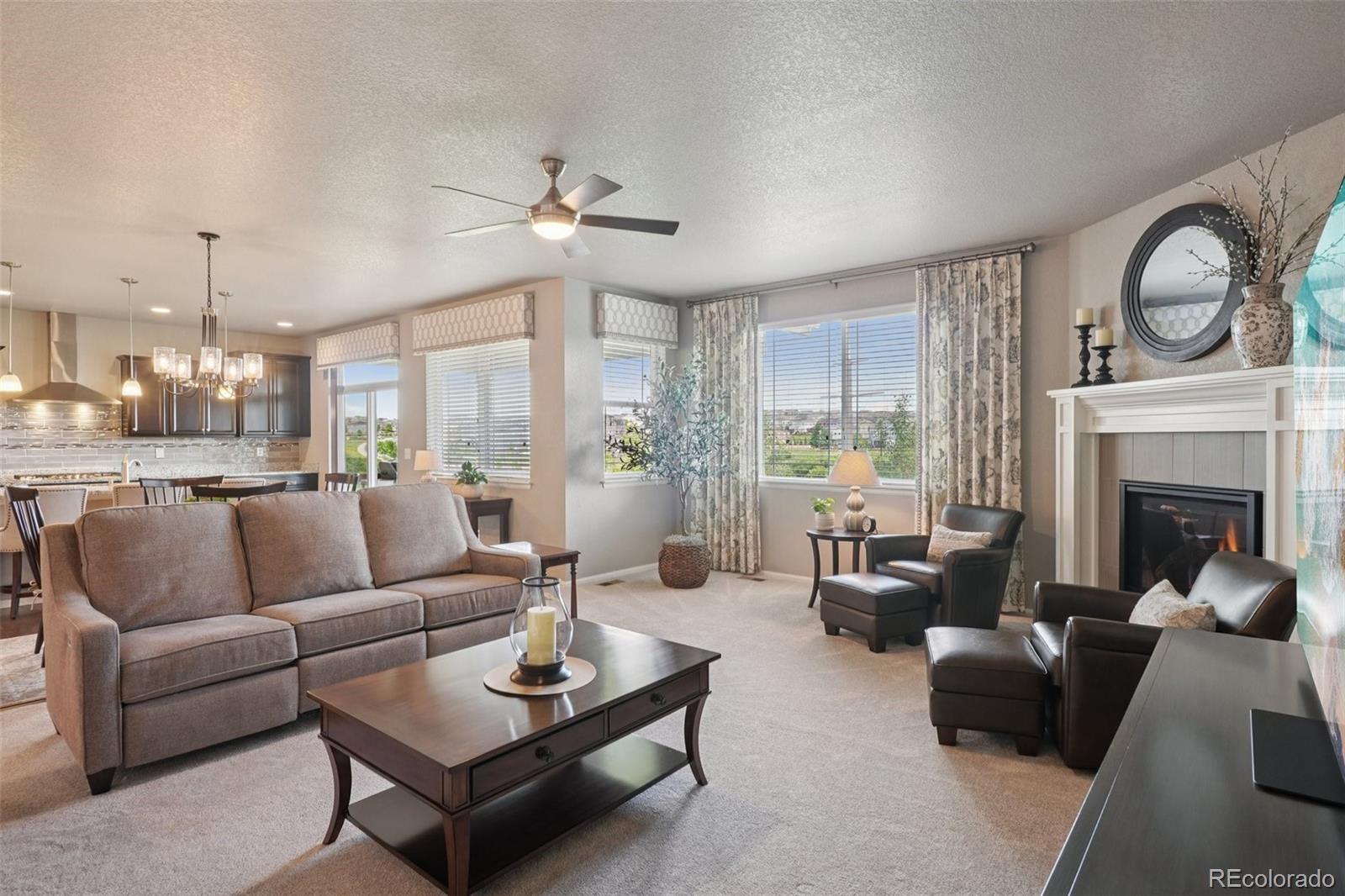 MLS Image #9 for 4438  sidewinder loop,castle rock, Colorado