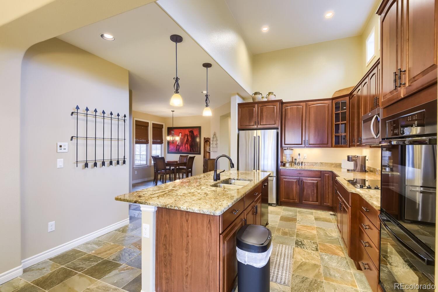 MLS Image #10 for 9309  viaggio way,highlands ranch, Colorado