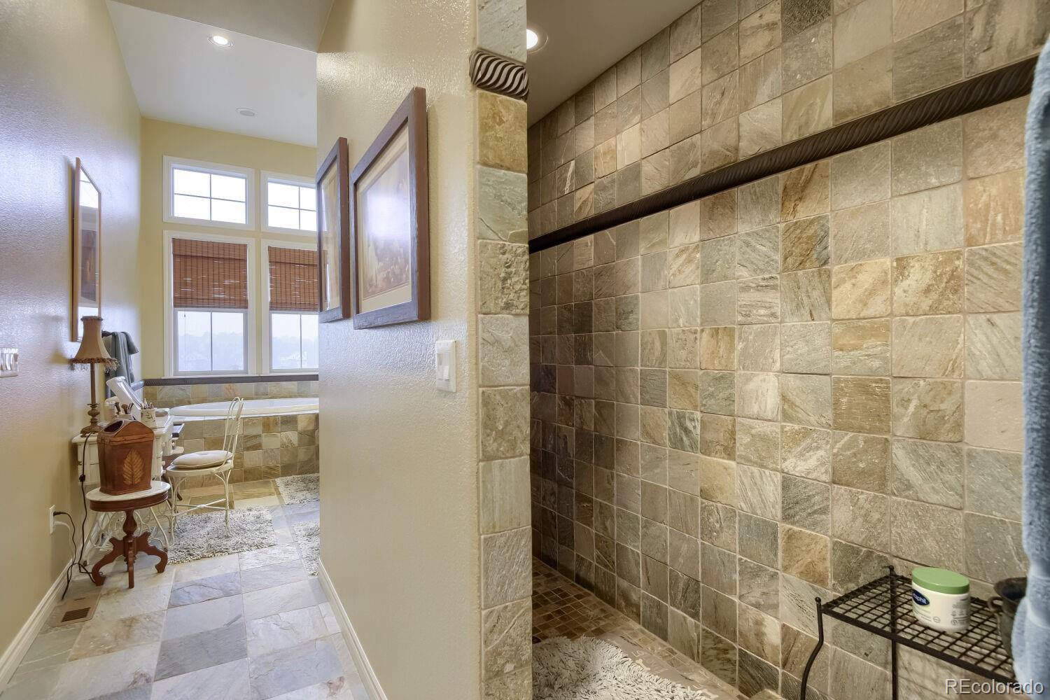 MLS Image #19 for 9309  viaggio way,highlands ranch, Colorado