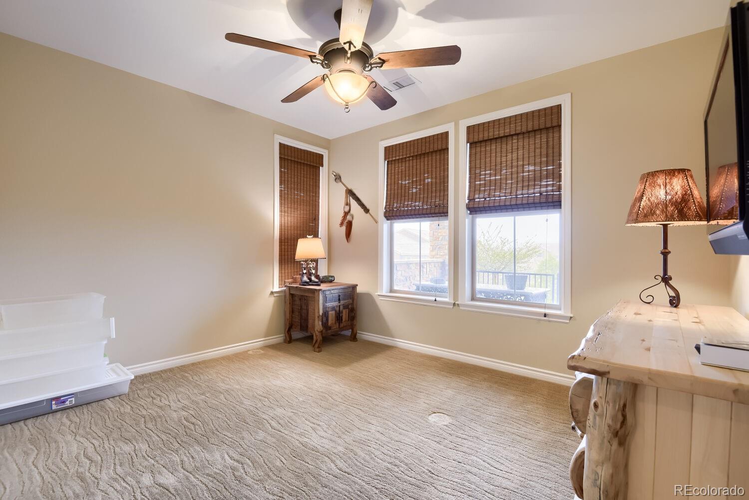MLS Image #33 for 9309  viaggio way,highlands ranch, Colorado