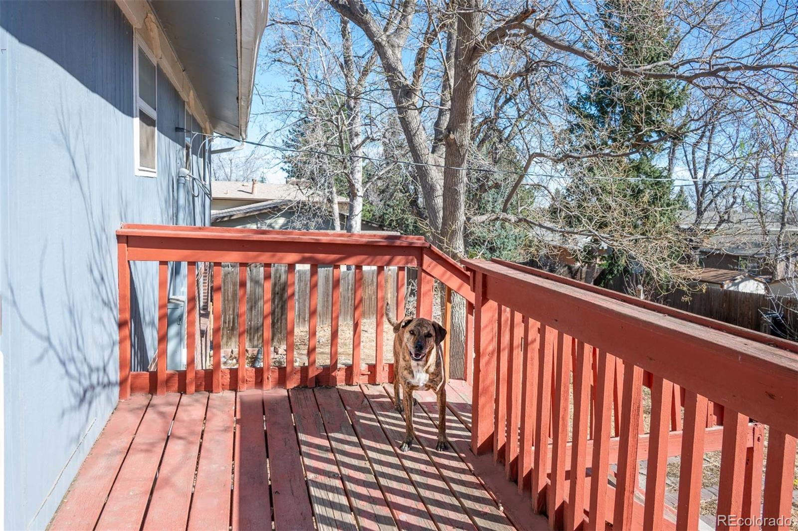 MLS Image #12 for 10512  sperry street,northglenn, Colorado