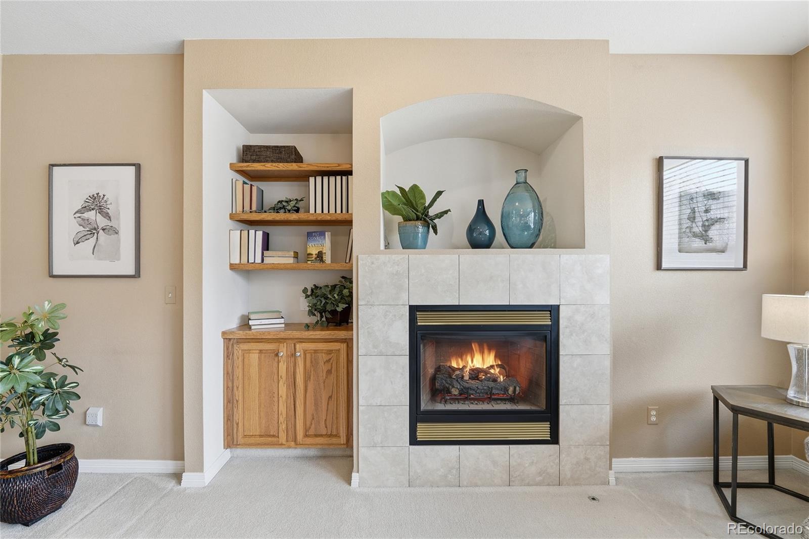 MLS Image #20 for 9934  clyde circle,highlands ranch, Colorado