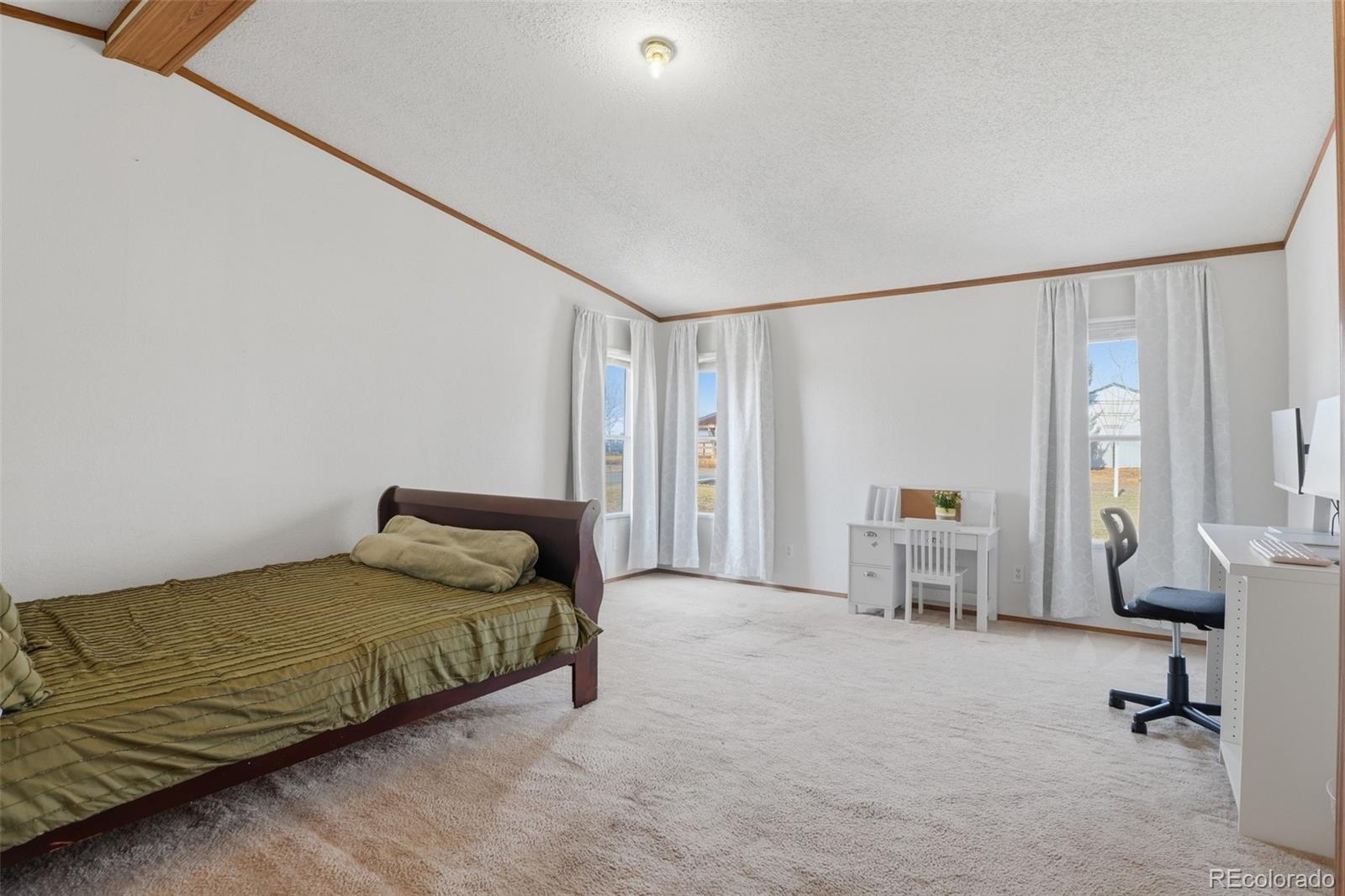 MLS Image #26 for 424  zante way,lochbuie, Colorado