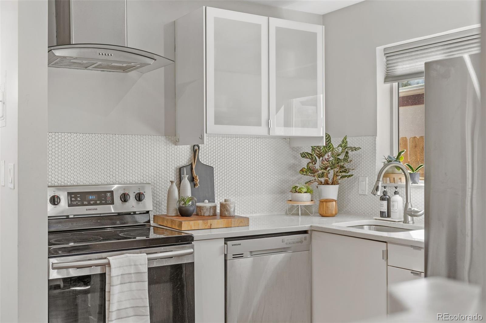 MLS Image #16 for 3720  bruce randolph avenue,denver, Colorado