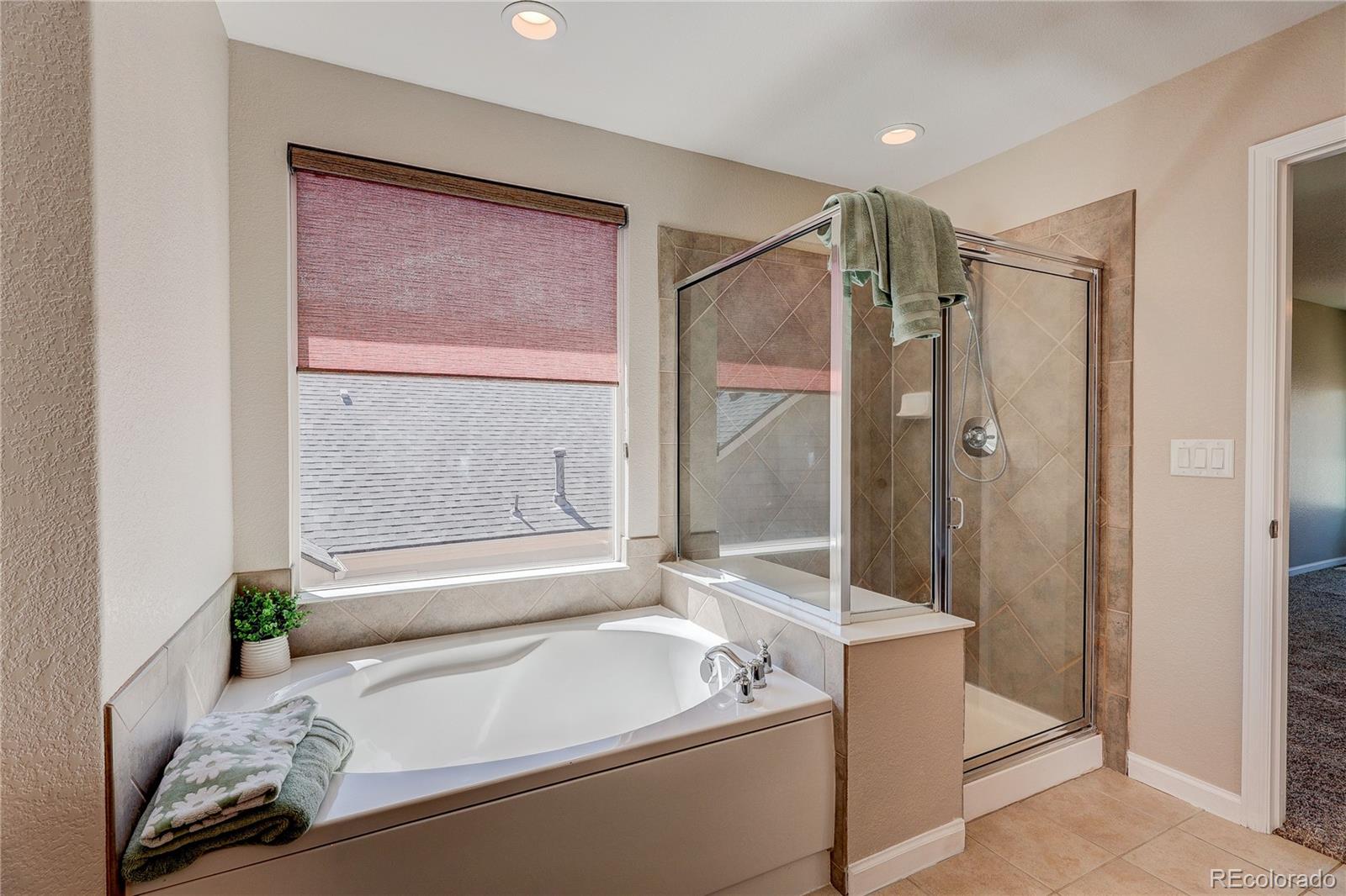 MLS Image #23 for 2053  granger circle,castle rock, Colorado