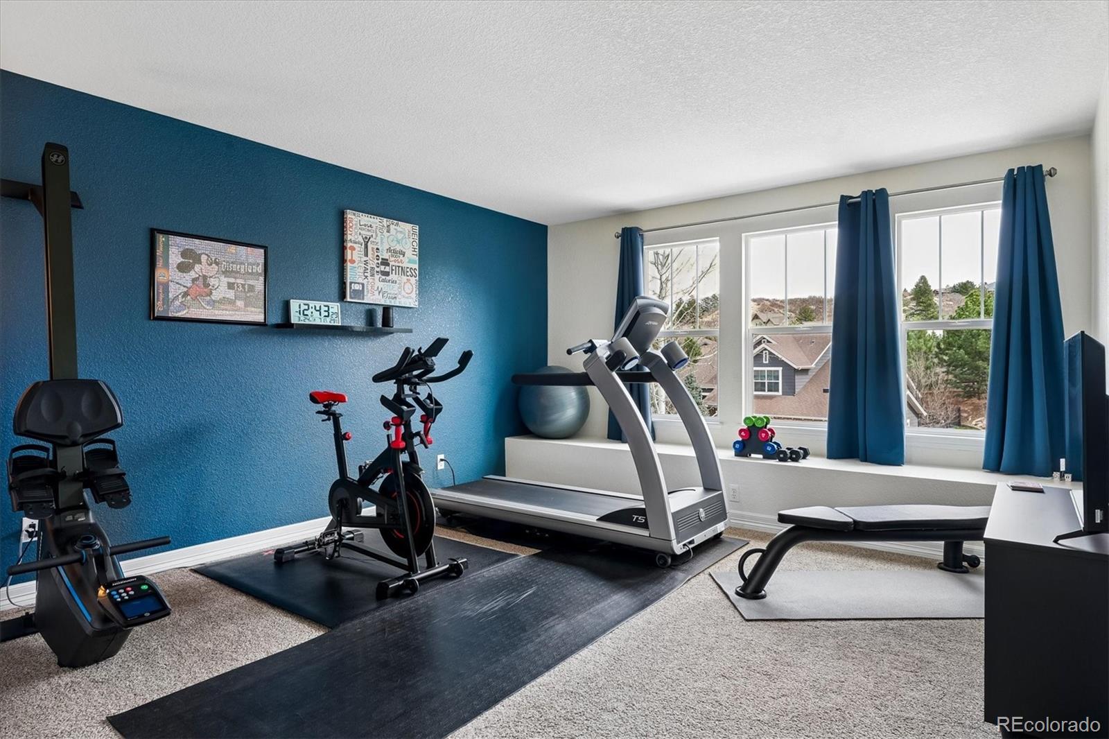 MLS Image #28 for 1445  black pine court,castle rock, Colorado