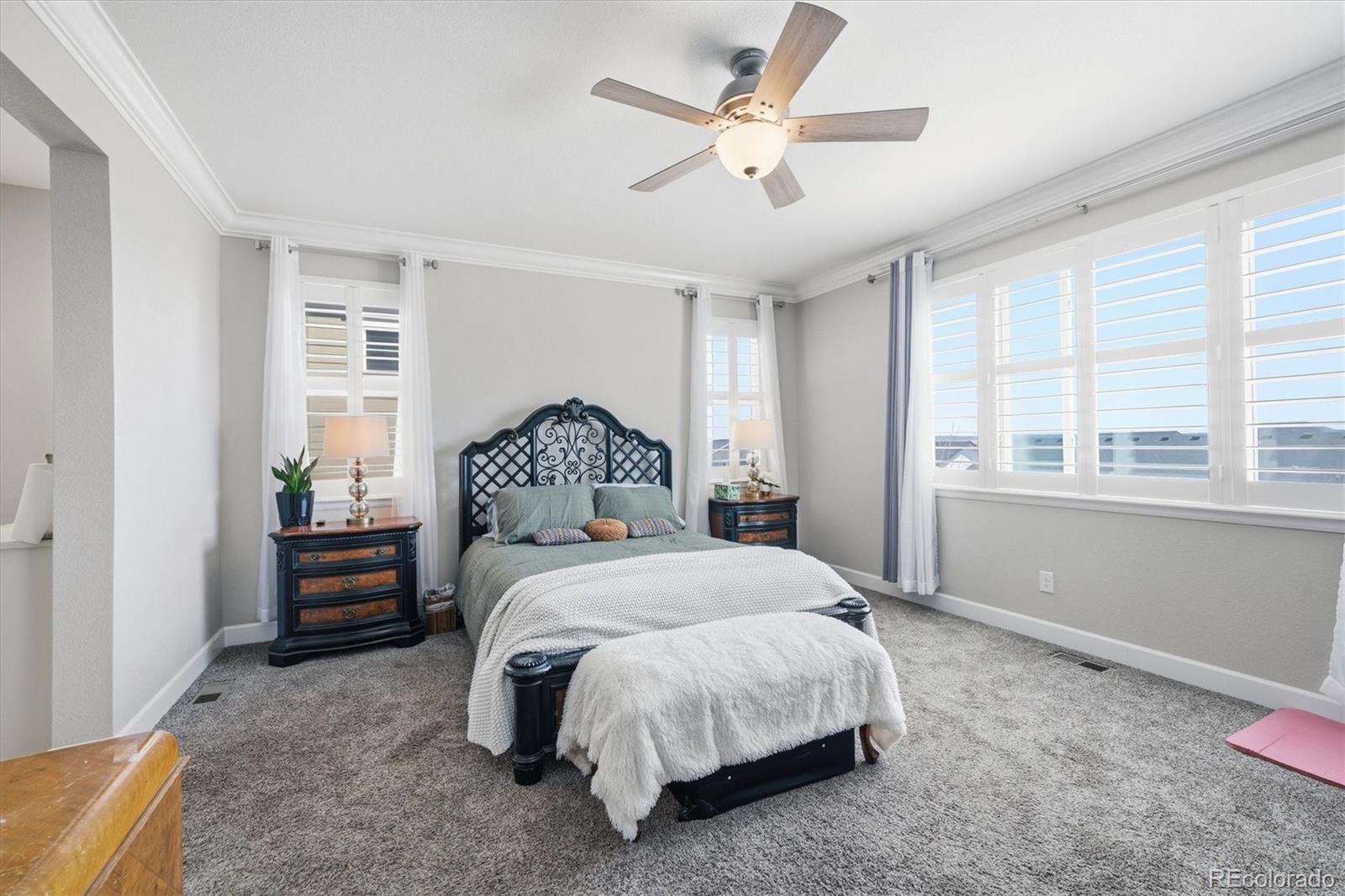 MLS Image #14 for 6700  mentha drive,castle rock, Colorado