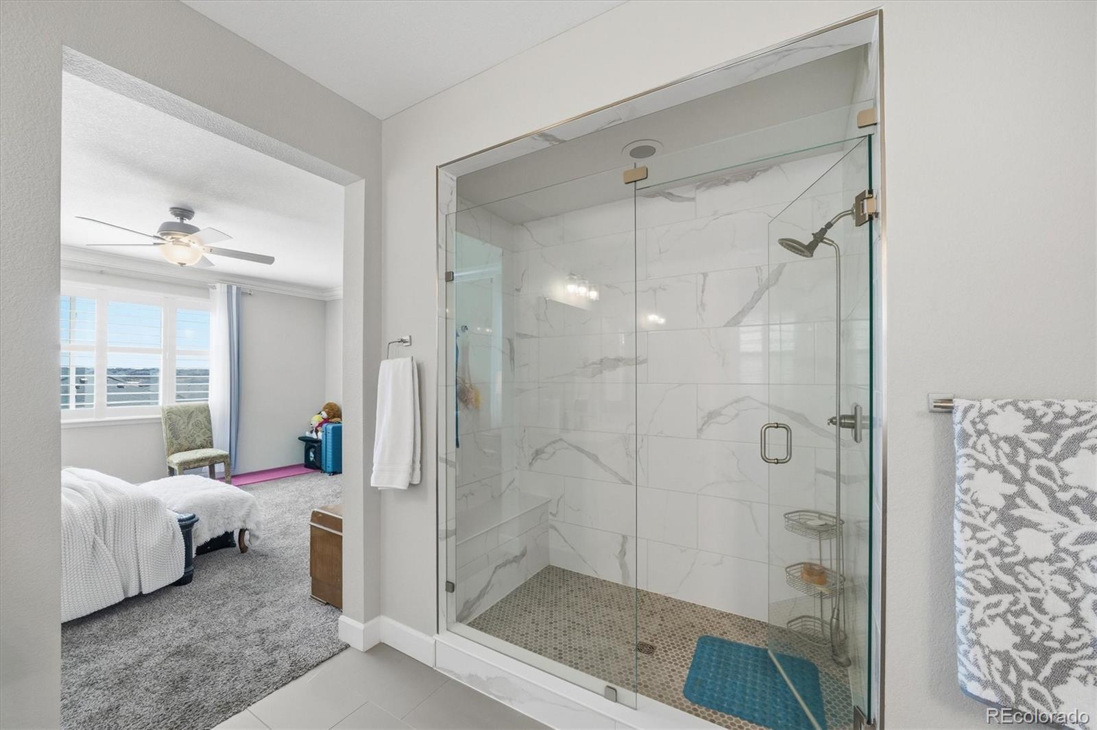 MLS Image #19 for 6700  mentha drive,castle rock, Colorado