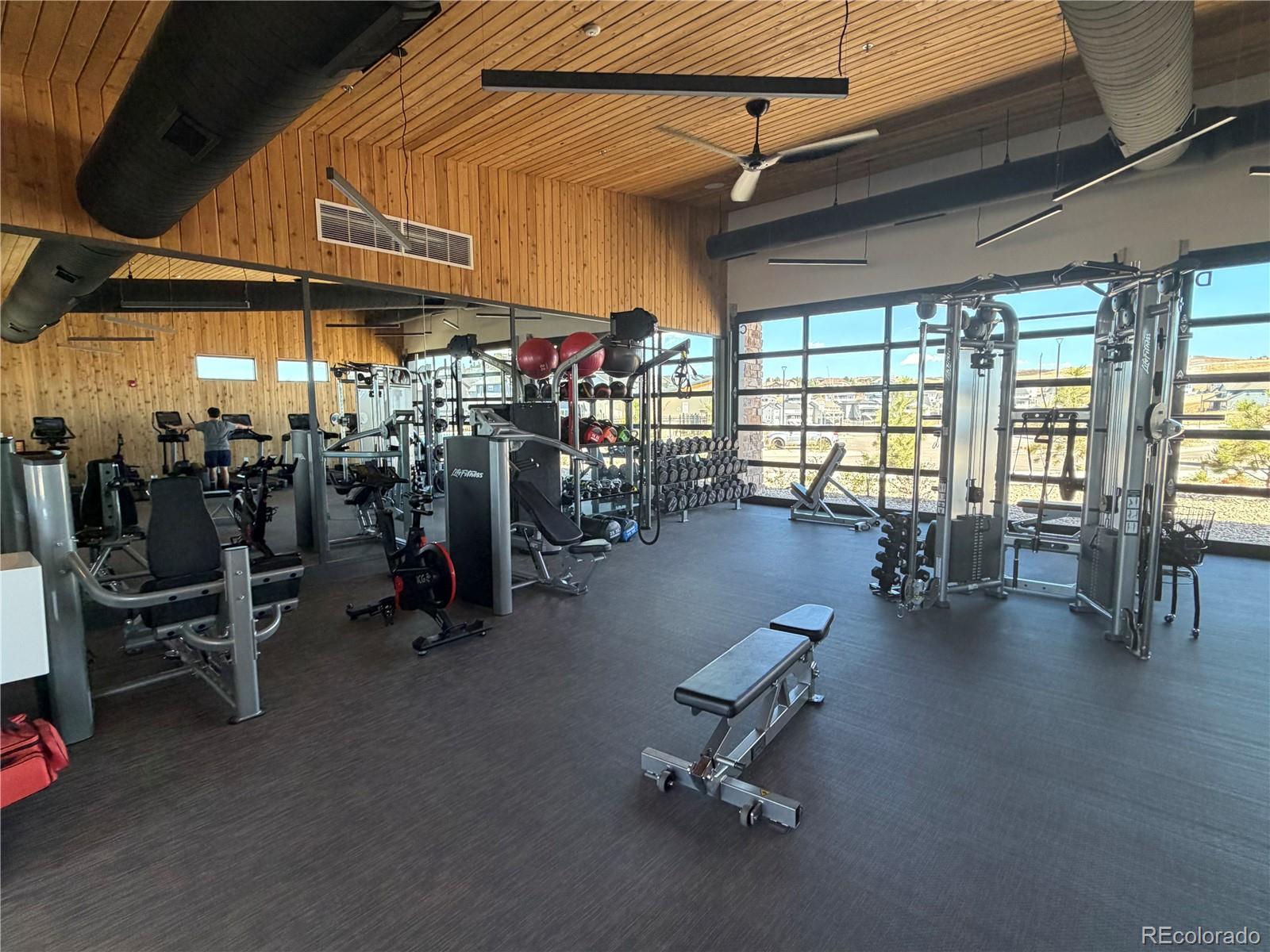 MLS Image #16 for 650  simmental loop,castle rock, Colorado