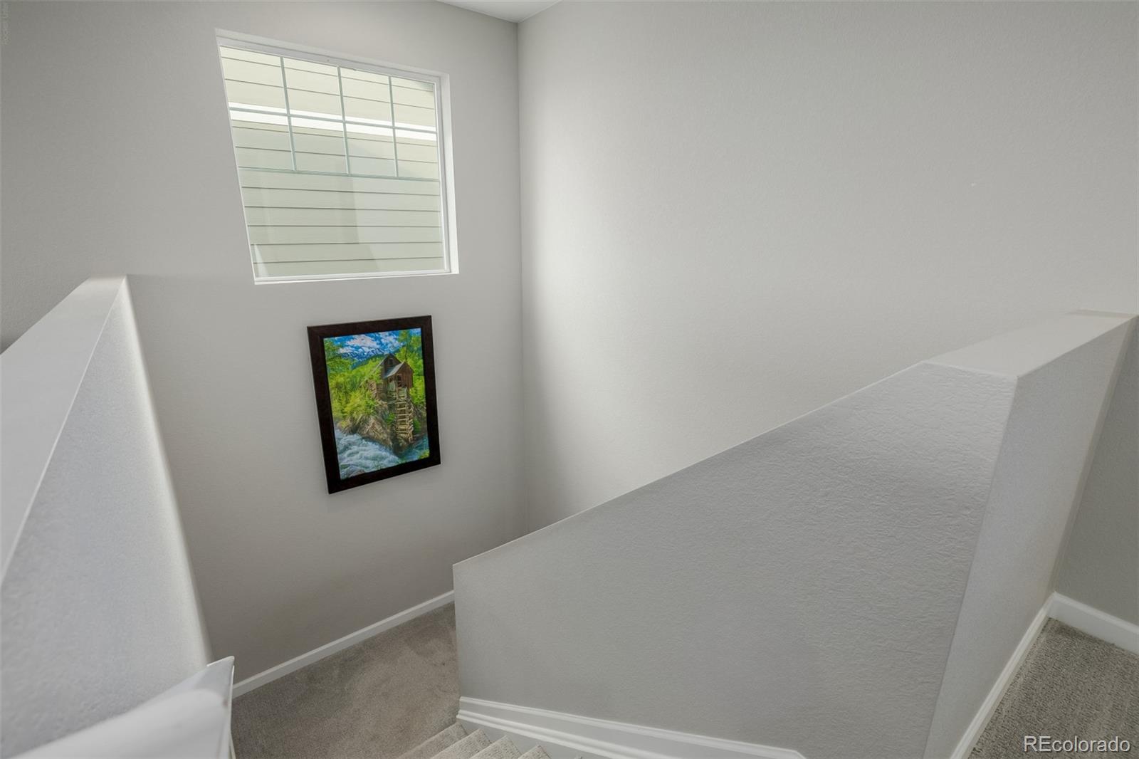 MLS Image #20 for 521  bear peak court,erie, Colorado