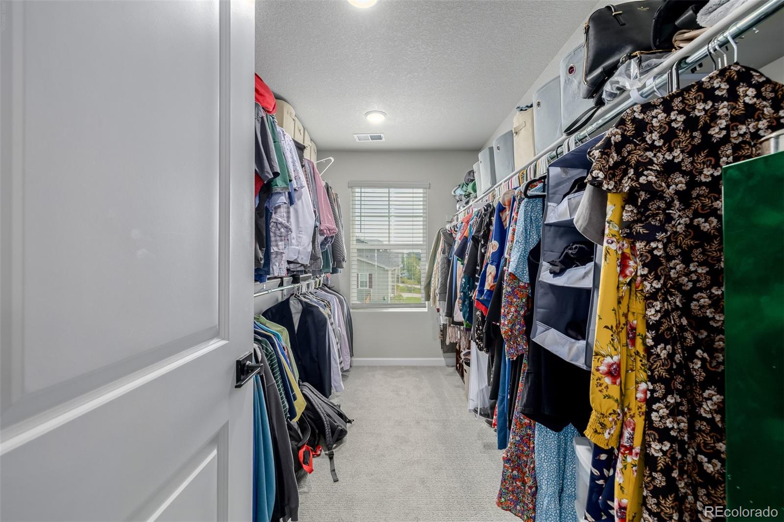 MLS Image #28 for 521  bear peak court,erie, Colorado