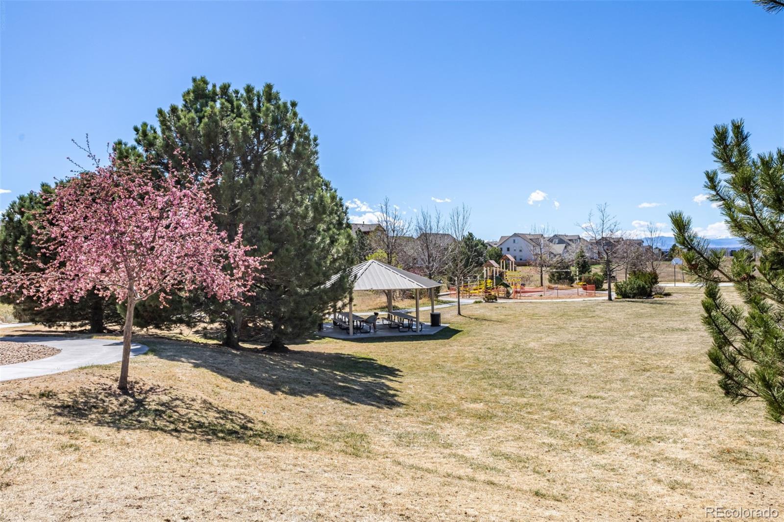 MLS Image #29 for 11991  riverstone circle,henderson, Colorado