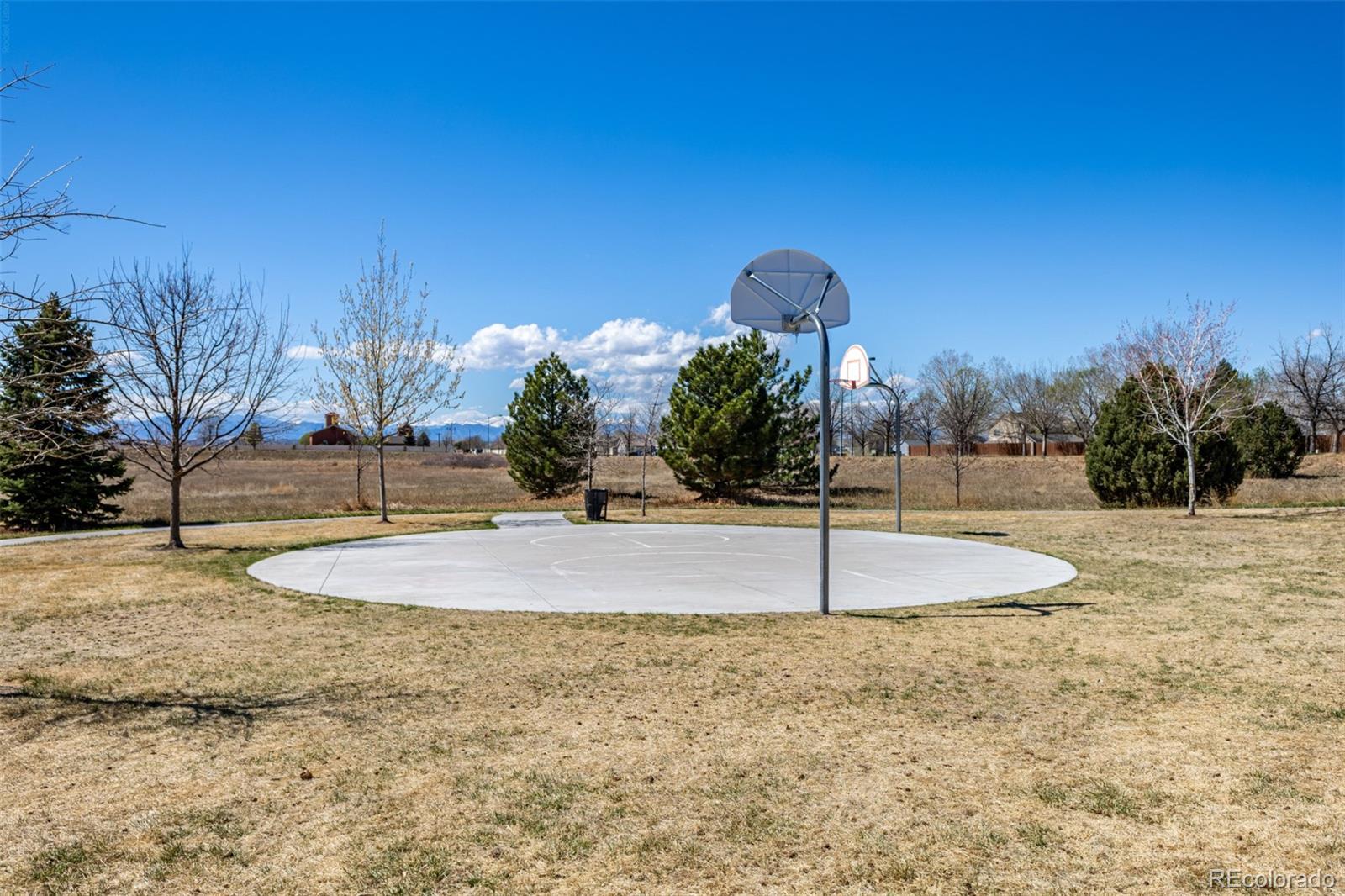 MLS Image #30 for 11991  riverstone circle,henderson, Colorado