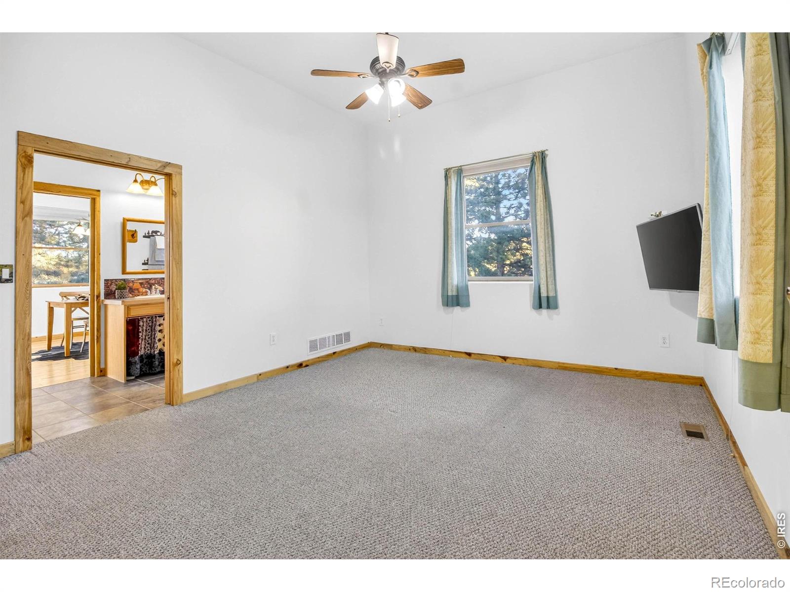 MLS Image #13 for 100  snow top drive,drake, Colorado