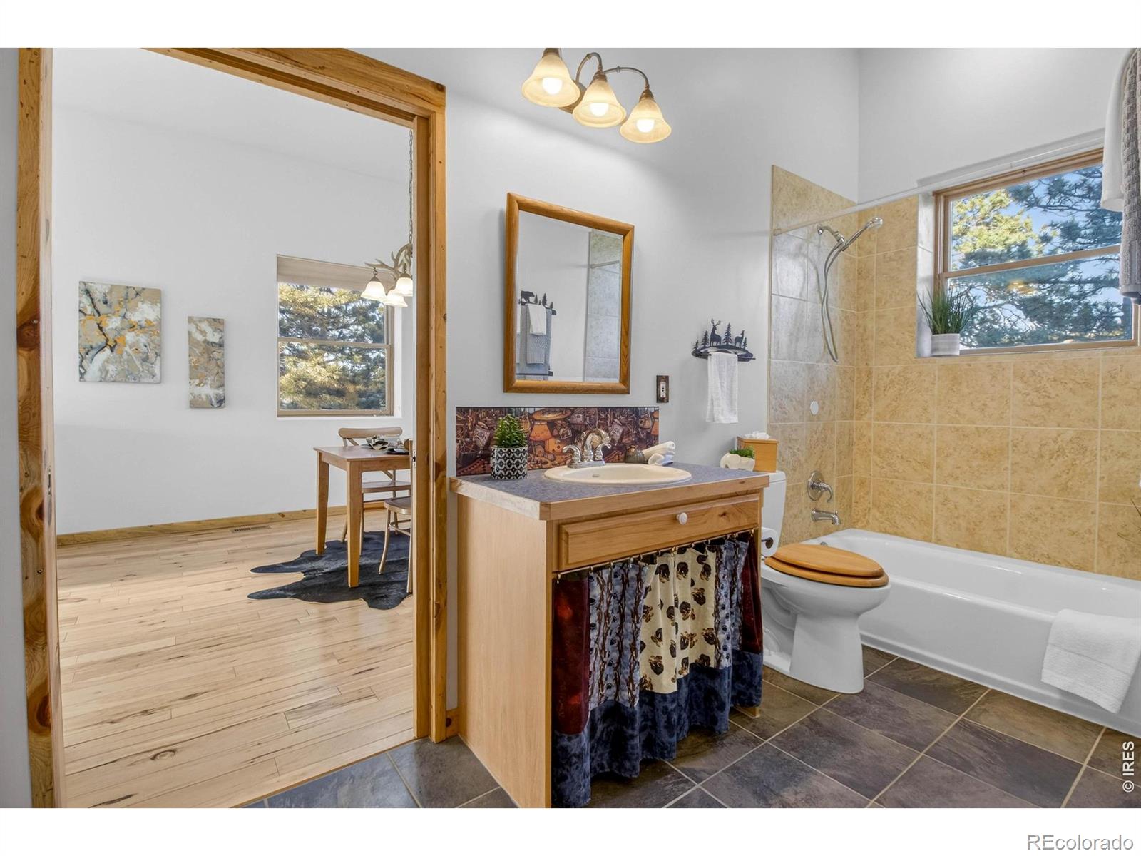 MLS Image #14 for 100  snow top drive,drake, Colorado