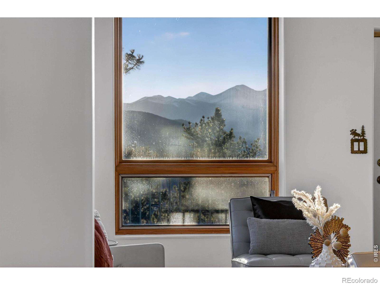 MLS Image #20 for 100  snow top drive,drake, Colorado