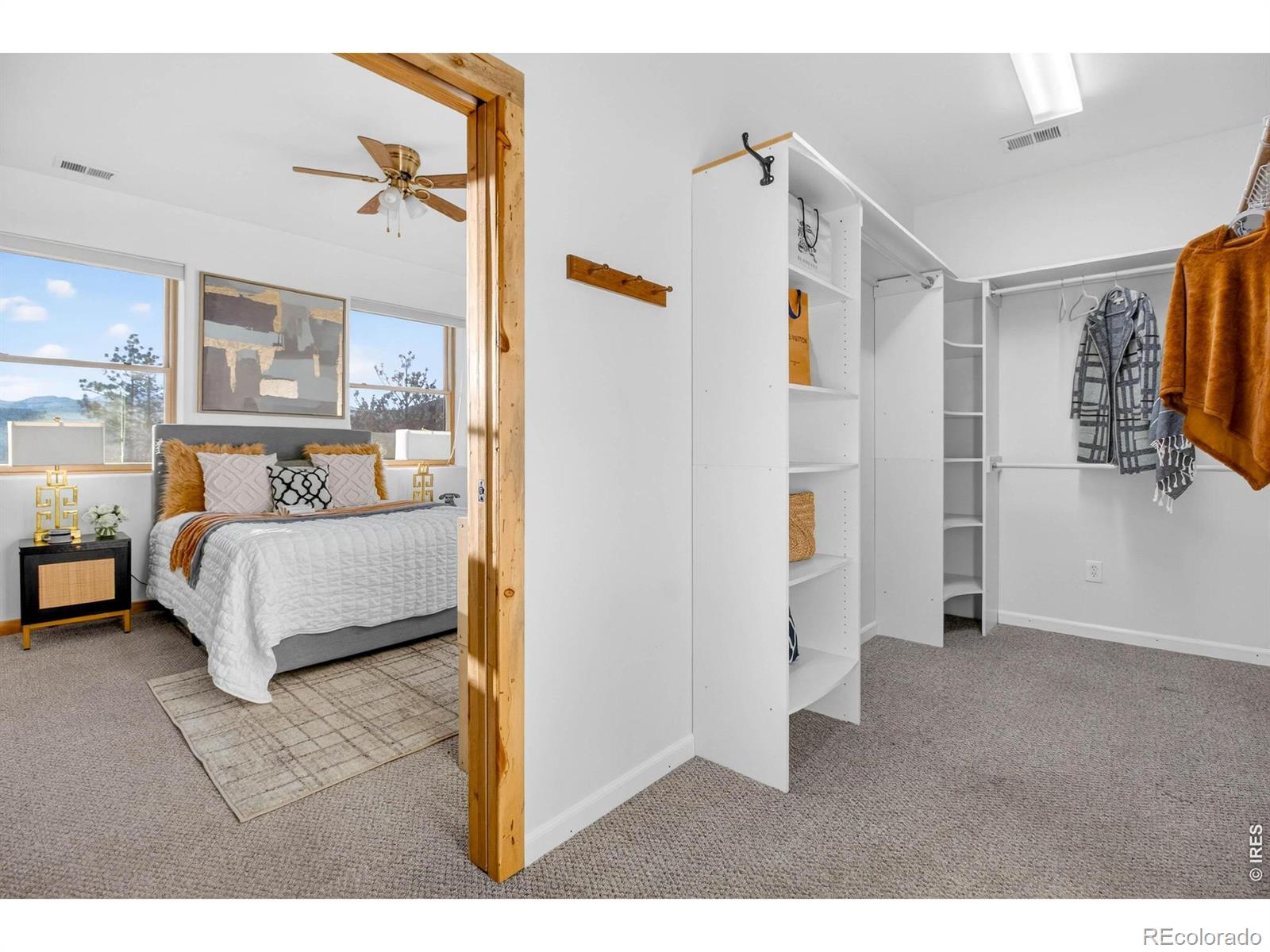 MLS Image #22 for 100  snow top drive,drake, Colorado