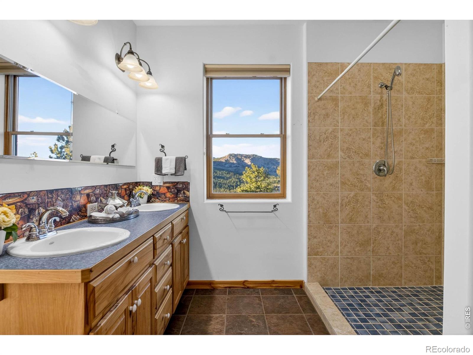 MLS Image #24 for 100  snow top drive,drake, Colorado