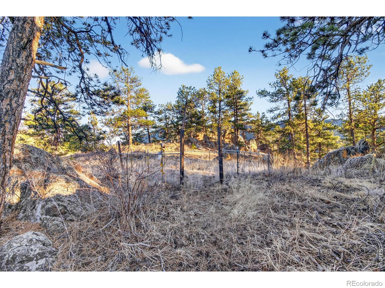 MLS Image #36 for 100  snow top drive,drake, Colorado