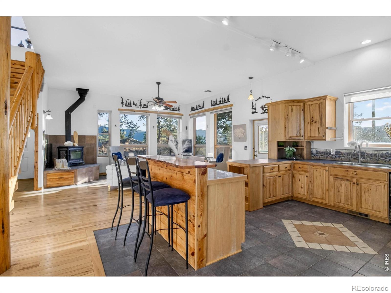 MLS Image #7 for 100  snow top drive,drake, Colorado