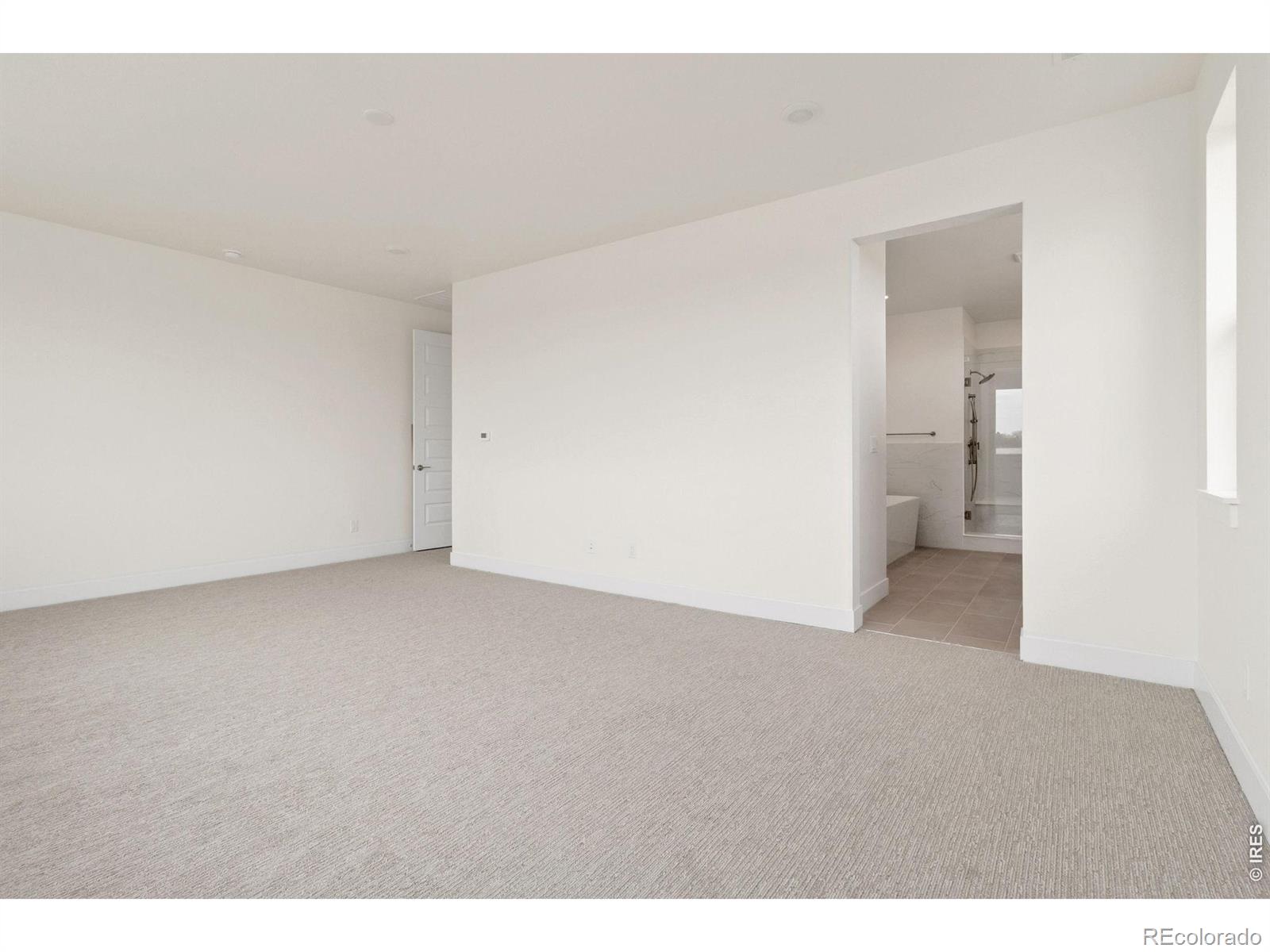 MLS Image #10 for 1290  weller street,timnath, Colorado