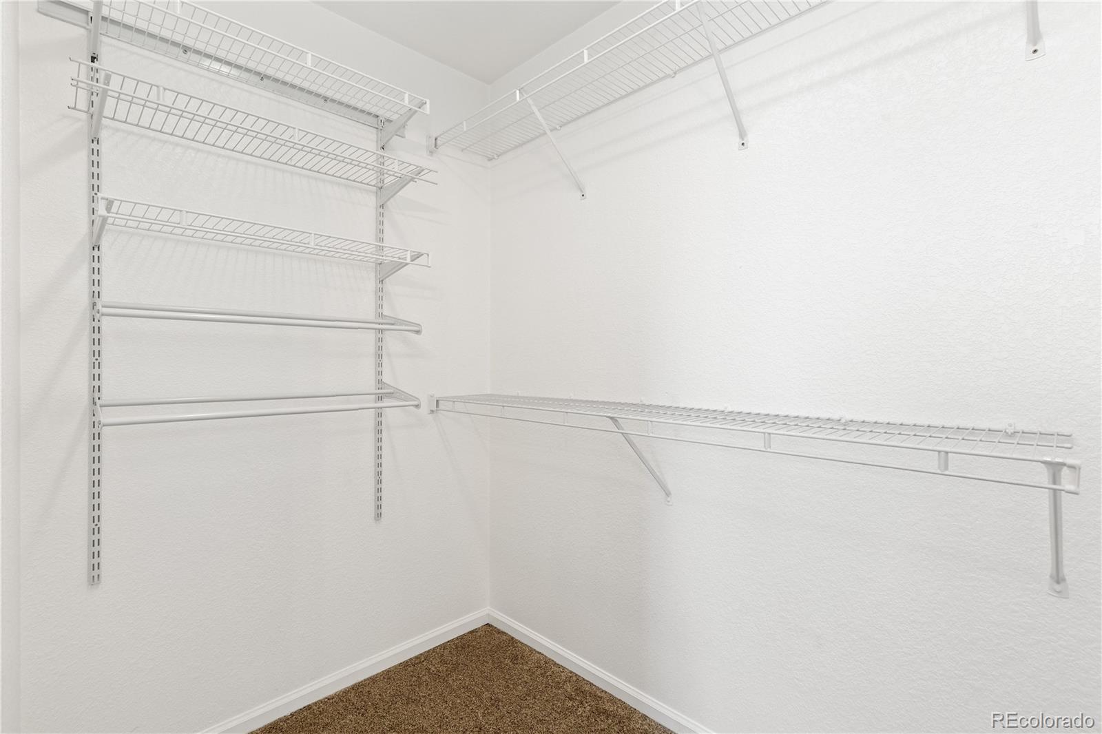 MLS Image #19 for 2255  candleglow street,castle rock, Colorado