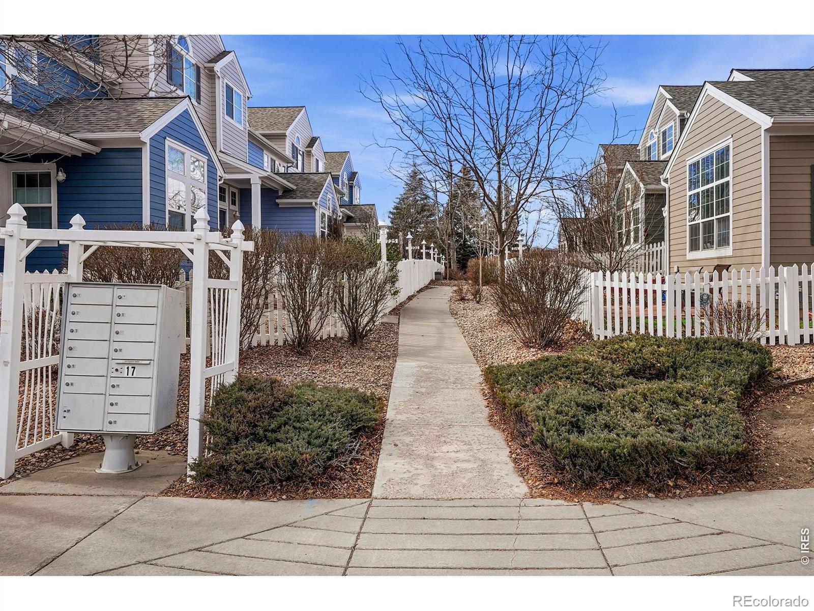 MLS Image #6 for 735  snowberry street,longmont, Colorado