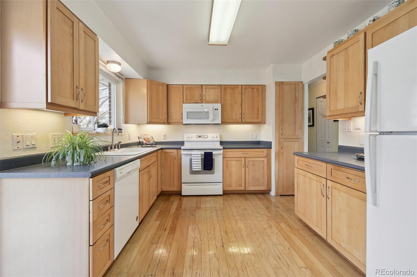 MLS Image #4 for 1508  ulysses street,golden, Colorado