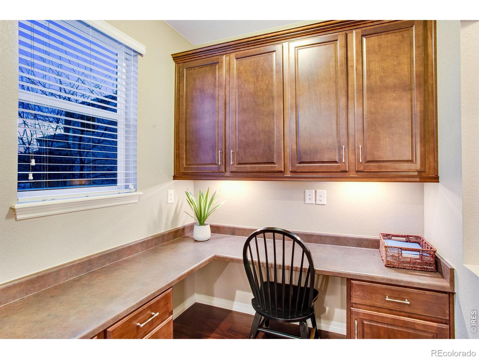 MLS Image #20 for 5728  connor street,timnath, Colorado