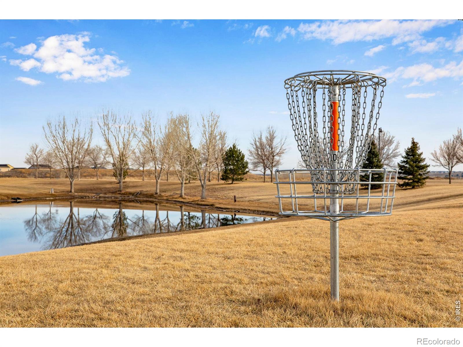 MLS Image #49 for 5728  connor street,timnath, Colorado