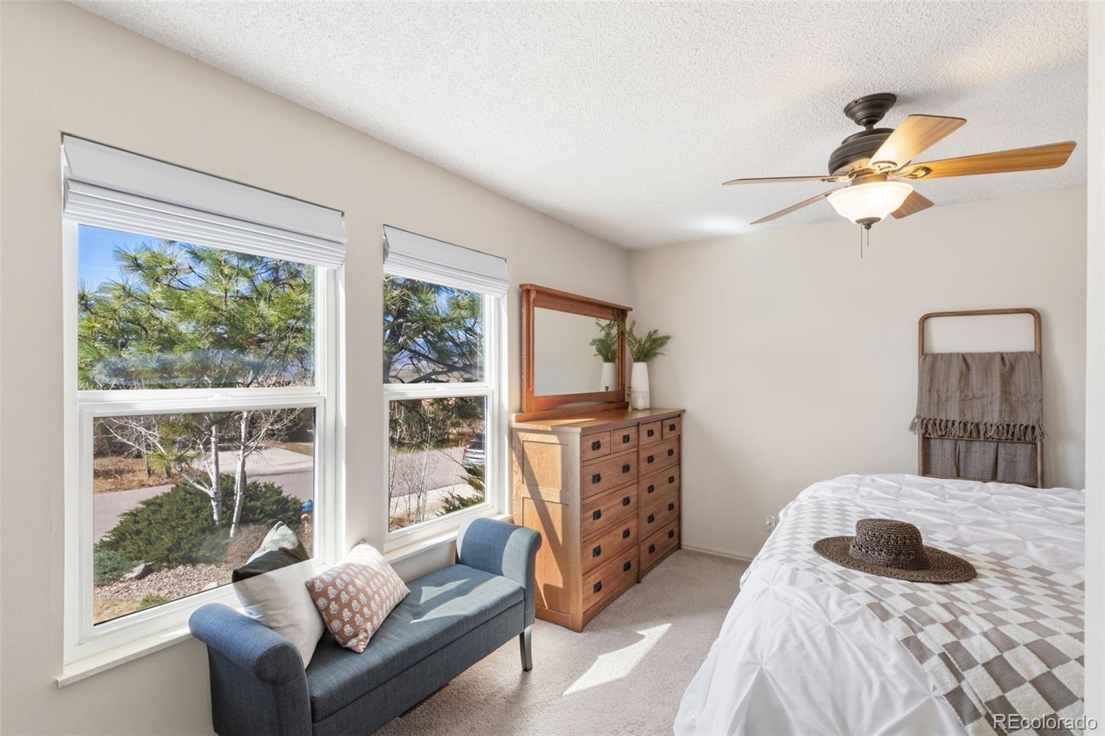 MLS Image #21 for 2120  rusty hinge drive,colorado springs, Colorado