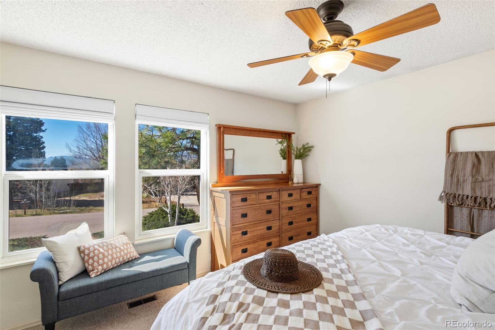 MLS Image #22 for 2120  rusty hinge drive,colorado springs, Colorado
