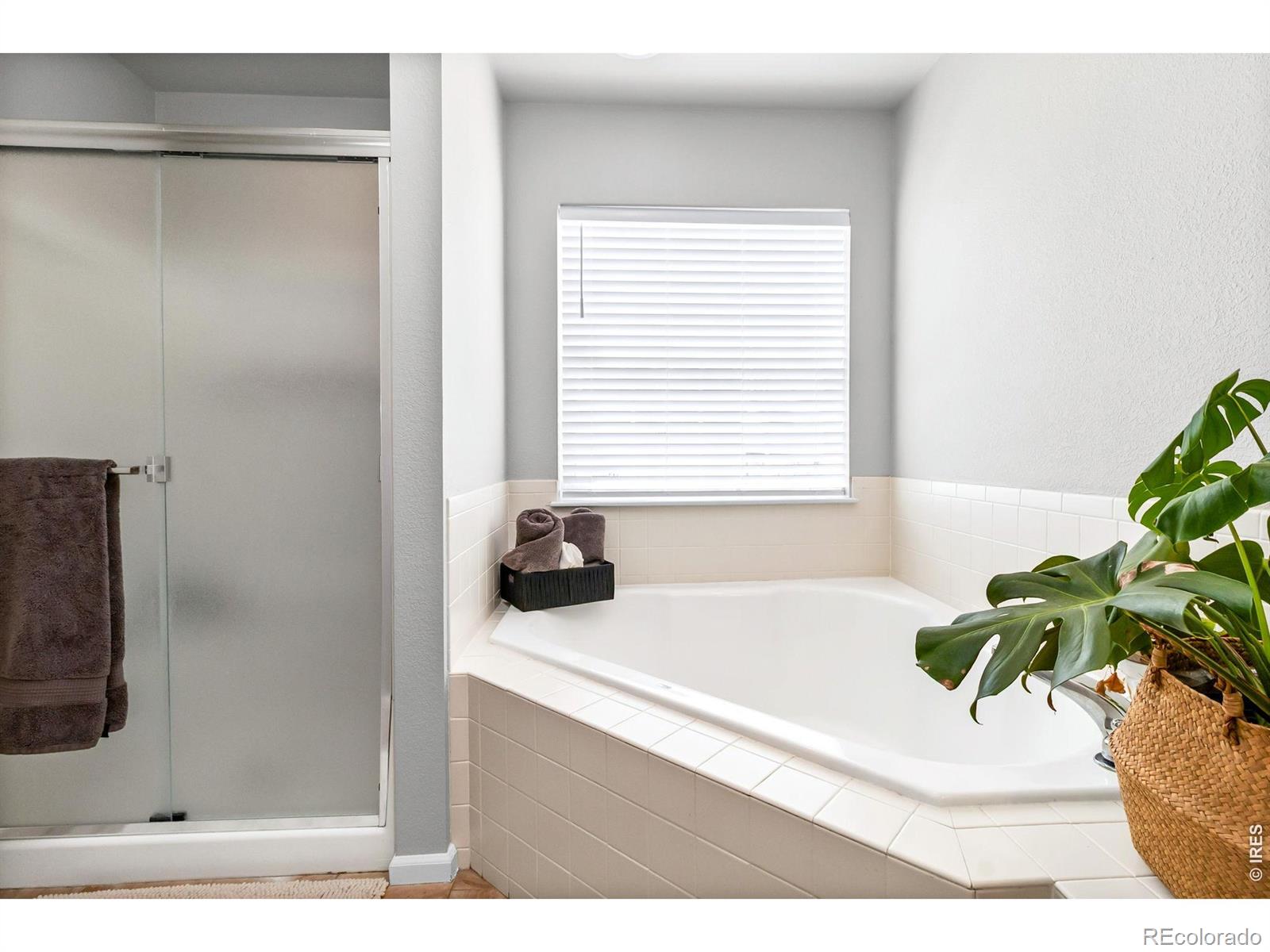 MLS Image #18 for 111  bayside circle,windsor, Colorado