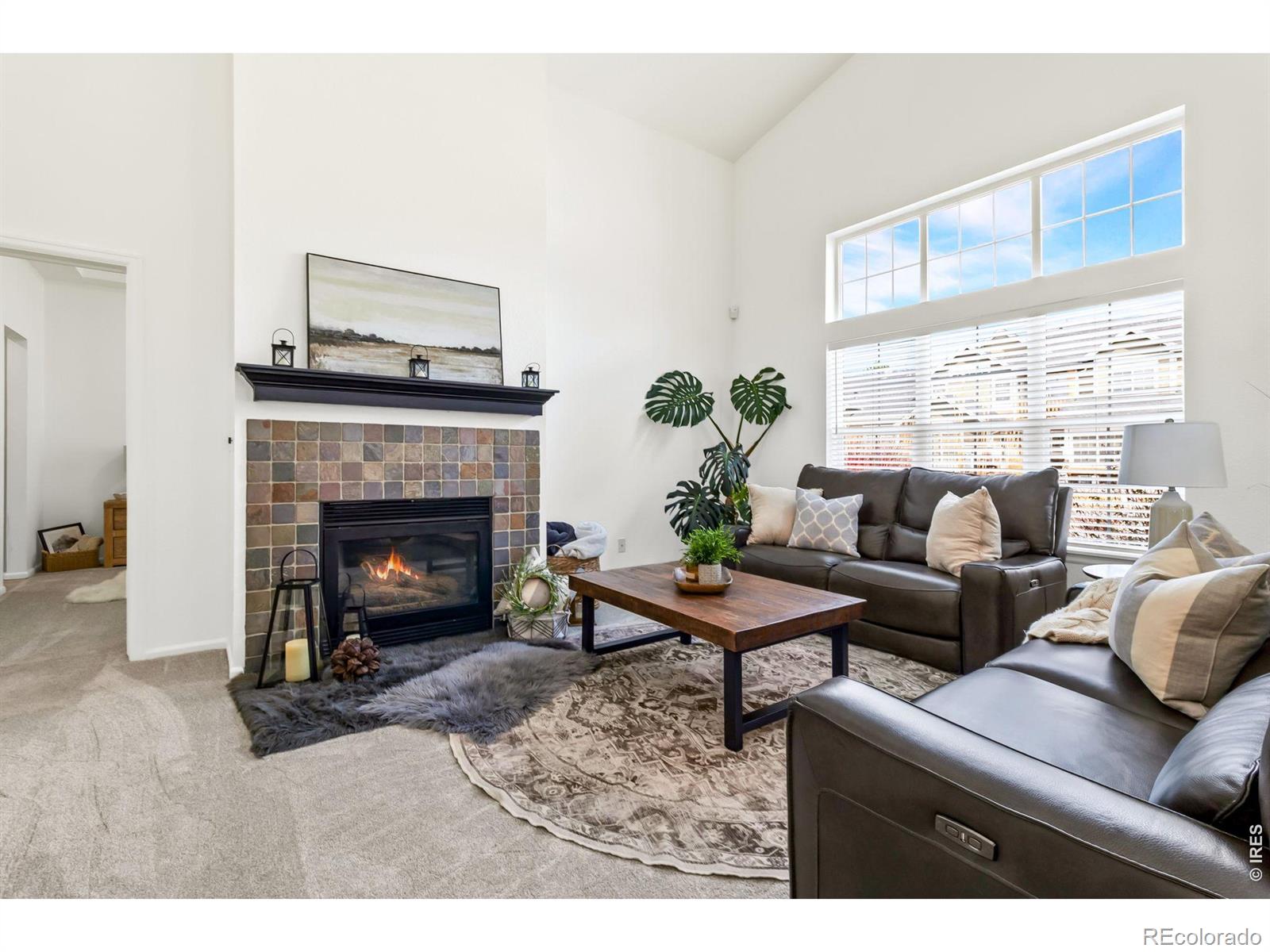 MLS Image #6 for 111  bayside circle,windsor, Colorado